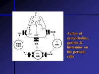 Chapter 6 DIGESTION & ABSORPTION § 1. Introduction  Concept of digestion & absorption  Concept of digestion & absorption... 