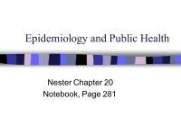 Epidemiology and Public Health Nester Chapter 20 Notebook, Page ppt download