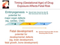 Antiretroviral Drugs in Pregnancy and Breastfeeding: Importance of Surveillance and Implications for Developing Countries Lynne... 