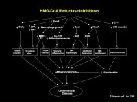 Prevention of CV Disease with Statins 葉宏一 MD, PhD 馬偕醫學院 醫學系 教授兼主任 台北醫學大學 醫學科學研究所 兼任教授... 