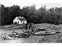 Bell Ringer What was the main cause of the Civil War? -  ppt download