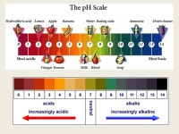 Acids burn.. Bases burn. VI. Strength of Acids and Bases A. Strong acids and bases… 1. completely dissociate (come apart) or... 