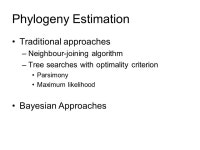 Phylogeny Estimation: Traditional and Bayesian Approaches Molecular Evolution, ppt download