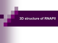 TATA Promoter TBP TF RNA polymerase II The central enzyme of gene expression. -  ppt download