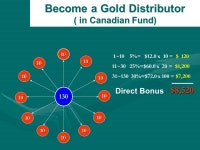 Welcome to the World of Networking The Bing Han Network. -  ppt download