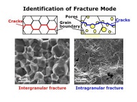 AP 5301/8301 Instrumental Methods of Analysis and Laboratory Zhengkui XU Office: G6760 Tel: ppt download