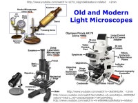 AP 5301/8301 Instrumental Methods of Analysis and Laboratory Zhengkui XU Office: G6760 Tel: ppt download