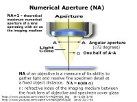 AP 5301/8301 Instrumental Methods of Analysis and Laboratory Zhengkui XU Office: G6760 Tel: ppt download