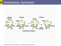 Copyright © 2006 Pearson Education, Inc., publishing as Benjamin Cummings Important Inorganic Compounds  Acids  Can release... 
