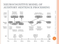 P10 04/06/11 1 SPAN Harry Howard - Tulane University. -  ppt download