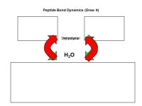 Chapter 3 Lecture The Chemistry of Organic Molecules. -  ppt download