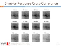 J. ElderPSYC 6256 Principles of Neural Coding ASSIGNMENT 2: REVERSE CORRELATION. -  ppt download