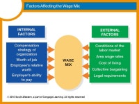 Base Wage & Salary System 18 Matakuliah: J0124 – Manajemen Sumber Daya Manusia Tahun : ppt download