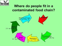 Pollution issues in the Great Lakes Toxic chemicals Nutrients Debris Biological pollution Algae PO 4 Poison With ideas from... 