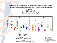 Cattle TB Vaccine Development in GB Martin Vordermeier Animal Health &Veterinary Laboratories Agency - Weybridge, U.K. 17 August... 
