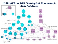Integration of PRO and UniProtKB Amherst, NY May 16, 2013 Cathy H. Wu, Ph.D. PRO-PO-GO Meeting. -  ppt download