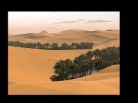 Rules for the Unruly.  “The only obligation you have is to love one another. Whoever does this has obeyed the Law…If you love... 