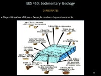 1 EES 450: Sedimentary Geology CARBONATES - Rocks with > 50% carbonate materials; most abundant biochemical/chemical rocks.... 