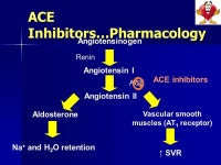 Renal failure & drug management By Dr. Judith Marin Pharmacist for FHA Renal program ppt download
