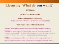 Technology Licensing Ken Porter Steamboat Mountain Solutions Copyright 2011 All rights reserved. - ppt download