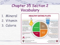 Chapter 35 Section 1 1. Peristalsis 2. Pepsin 3. Bile 4. Gallbladder 5. Villus. -  ppt download