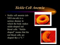 Blood!!. Blood The fluid portion of cardiovascular system Connective Tissue Serves the body’s 75 Trillion Cells!! WOW! -  ppt... 