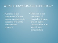 By Chonell Peralta and Rosa Parra OSMOSIS AND DIFFUSION. -  ppt download