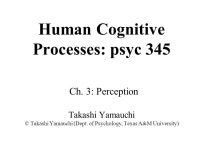 Human Cognitive Processes: psyc 345 Ch. 3: Perception Takashi Yamauchi © Takashi Yamauchi (Dept. of Psychology, Texas A&M... 