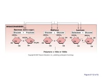 Figure 2-3. Table 2-2 Figure 2-7 (1 of 3) Figure 2-7 (2 of 3) -  ppt download