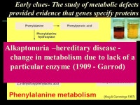 What do genes do? Chapter 17 - Protein Synthesis 96% 36% 7% 21% 15% -  ppt download