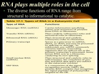 What do genes do? Chapter 17 - Protein Synthesis 96% 36% 7% 21% 15% -  ppt download