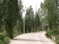 Palestine – April 2005 The Arrogance of Occupation. -  ppt download