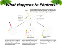 Where does all that glucose come from? CO 2 radiant energy Photosynthesis glucose. -  ppt download