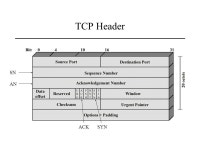 ES Module 4 Transport Layer Protocols. Last Lecture(s) Routing and IP Addressing Domain Name System. -  ppt download