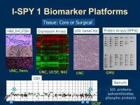 Breast Cancer Molecular Profiles Predict Tumor Response of Neoadjuvant Doxorubicin and Paclitaxel, the I-SPY TRIAL (CALGB /150012... 