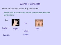 Psych 56L/ Ling 51: Acquisition of Language Lecture 9 Lexical Development I. -  ppt download