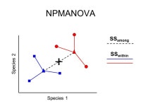 Permutation tests in multivariate analysis Michele Scardi Department of Biology ‘Tor Vergata’ University Rome, Italy   URL... 