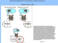 Global Workspace Theory and LIDA ---- the role of conscious events in cognitive architectures. This powerpoint is available for... 