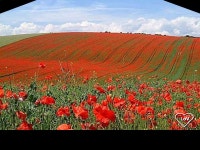 Welcome to of Reno Life is Great in LoV Unity Ministry of Reno is a spiritual community centered in God, fostering spiritual... 