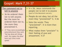 Sunday Readings Commentary and Reflections 23 rd Sunday in the Ordinary Time B September 6, 2015 In preparation for this... 