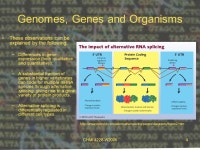 CHMI 4226-W20051 Recombinant DNA Technology CHMI 4226 E Week # 4 January 26, 2009 cDNA libraries. -  ppt download