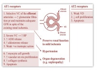 Therapy of hypertension By Dr. Mohamed Abd Almoneim Attia. -  ppt download