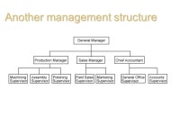 Organisation and management Management structure may vary according to the size and activities of the business. However, the... 