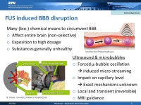 Modeling of endothelial mechanical conditions during microbubble enhanced blood-brain barrier disruption W. Wiedemair 1, Ž.... 