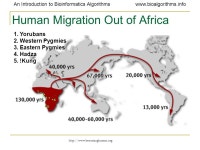 Introduction to Bioinformatics Algorithms Molecular Evolution and Reconstruction of Evolutionary Trees. -  ppt download