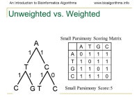 Introduction to Bioinformatics Algorithms Molecular Evolution and Reconstruction of Evolutionary Trees. -  ppt download