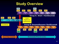 The Diabetic Retinopathy Clinical Research Network ppt download