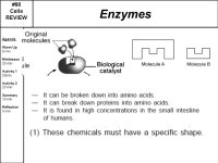 Unit Review #90 Cells REVIEW #90 Cells REVIEW Agenda: Warm Up 8 min Minilesson 20min Activity 1 25min Activity. -  ppt download