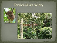 Boracay Adventure Park. Two Hectares strategically located in Central Boracay behind the Crown Regency Resort & Convention Center... 