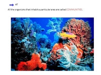Ecology is study of interactions between non-living components in the environment… – light – water – wind – nutrients... 